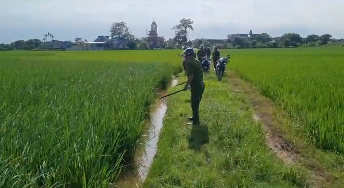 Hưng Yên: Tăng cường quản lý hành vi diệt chuột bằng điện