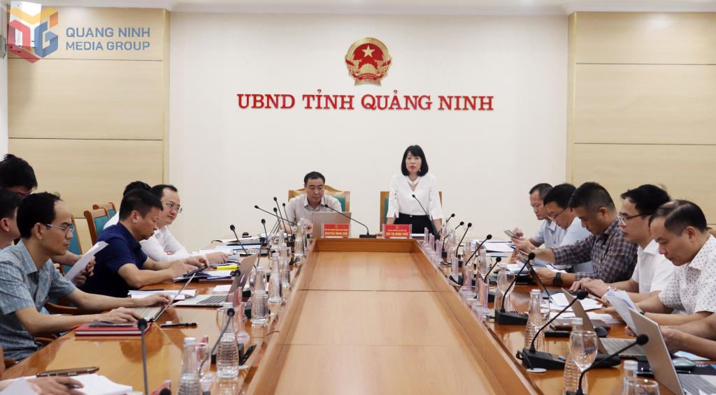 Bà Bùi Thị Minh Thuỷ, Phó Vụ trưởng Vụ Pháp Chế phát biểu tại buổi làm việc.