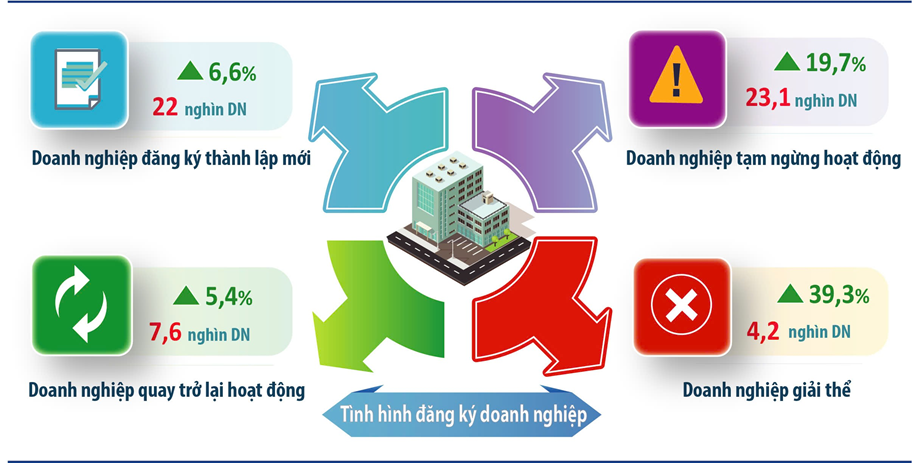 Tình hình doanh nghiệp 8 tháng năm 2025 so với cùng kỳ năm trước. Ảnh: Thống kê TP. Hà Nội