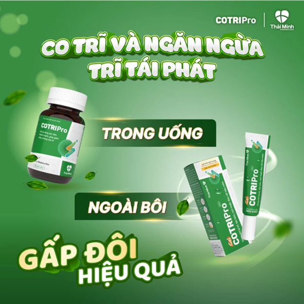 COTRIPro thực phẩm bảo vệ sức khỏe hỗ trợ điều trị bệnh trĩ