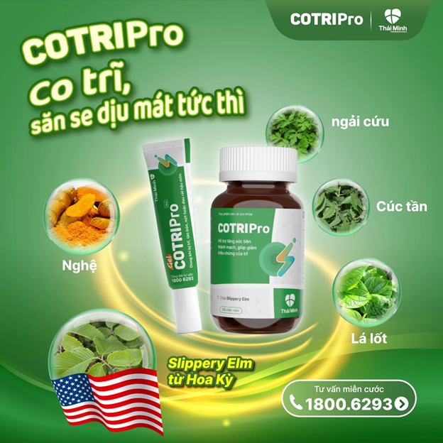 COTRIPro - Thực phẩm bảo vệ sức khỏe hỗ trợ điều trị bệnh trĩ hiệu quả tại Việt Nam