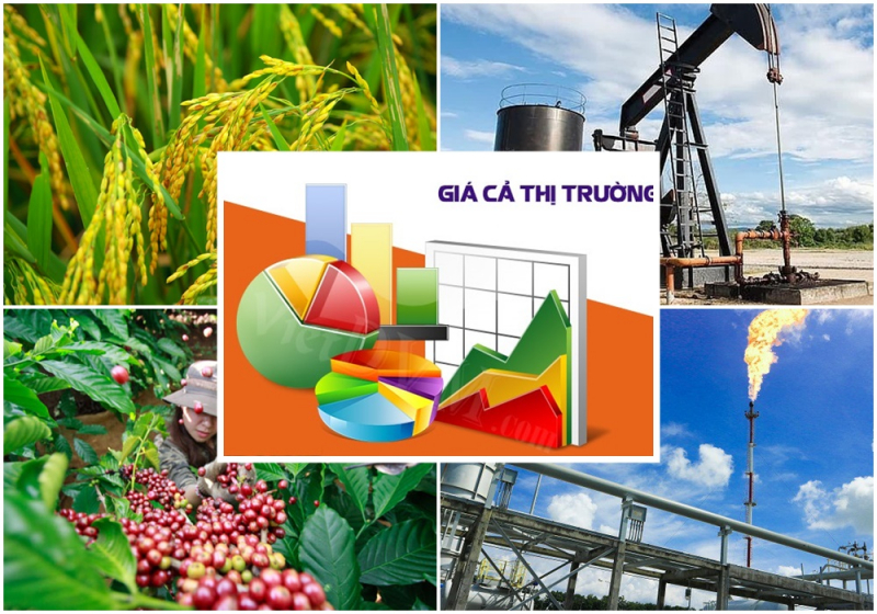 Giám sát chặt chẽ biến động giá cả thị trường, đặc biệt là hàng hóa, dịch vụ tiêu dùng thiết yếu