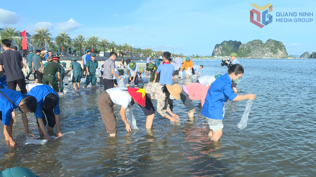 Quảng Ninh thả hơn 1 triệu con giống tái tạo nguồn lợi thuỷ sản