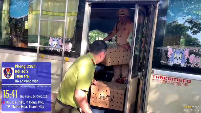 Lực lượng Công an Kịp thời phát hiện 136 cá thể chim chào mào - loại chim hoang dã bị vận chuyển, mua trái phép