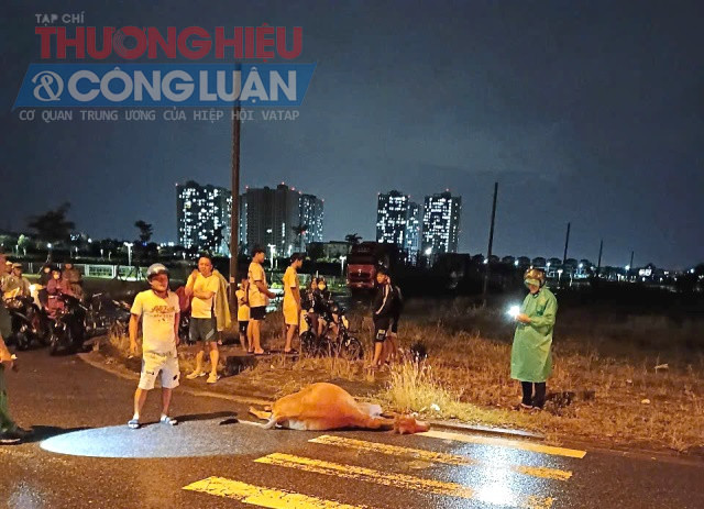 vào lúc 3 giờ sáng, ngày 4/8/2025, một vụ tai nạn thương tâm xảy ra trên đoạn đường Nguyễn Tất Thành (nối dài) thuộc địa phận phường Hải Vân, TP. Đà Nẵng. vào lúc 3 giờ sáng, ngày 4/8/2025, một vụ tai nạn thương tâm xảy ra trên đoạn đường Nguyễn Tất Thành (nối dài) thuộc địa phận phường Hải Vân, TP. Đà Nẵng.