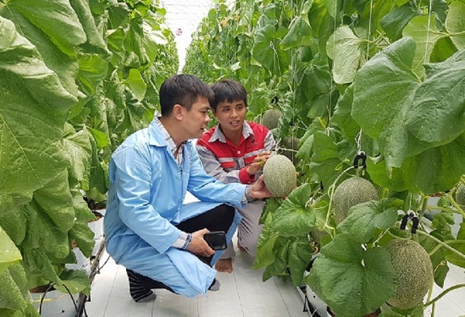 Công nghiệp thực phẩm Việt Nam bứt phá: Từ sân nhà đến chuỗi cung ứng toàn cầu