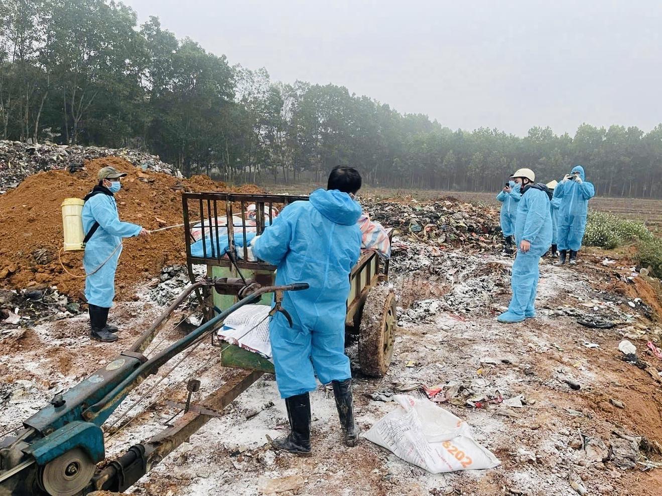 Thanh Hóa có 35 xã bước đầu khống chế được dịch tả lợn châu Phi