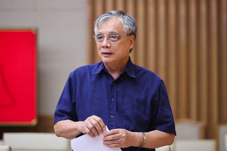 PGS.TS Trần Đình Thiên, nguyên Viện trưởng Viện Kinh tế Việt Nam, thành viên Hội đồng Tư vấn chính sách phát biểu - Ảnh: VGP/Nhật Bắc