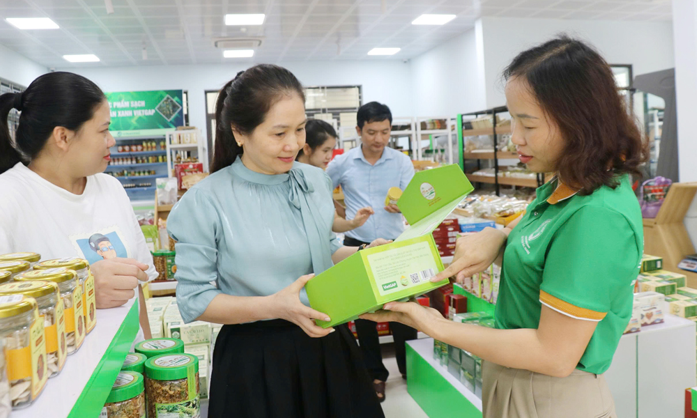 Cán bộ Trung tâm Hỗ trợ phát triển hợp tác xã (Liên minh Hợp tác xã tỉnh) giới thiệu các sản phẩm OCOP có in mã QR, mã vạch giúp người tiêu dùng truy xuất nguồn gốc.