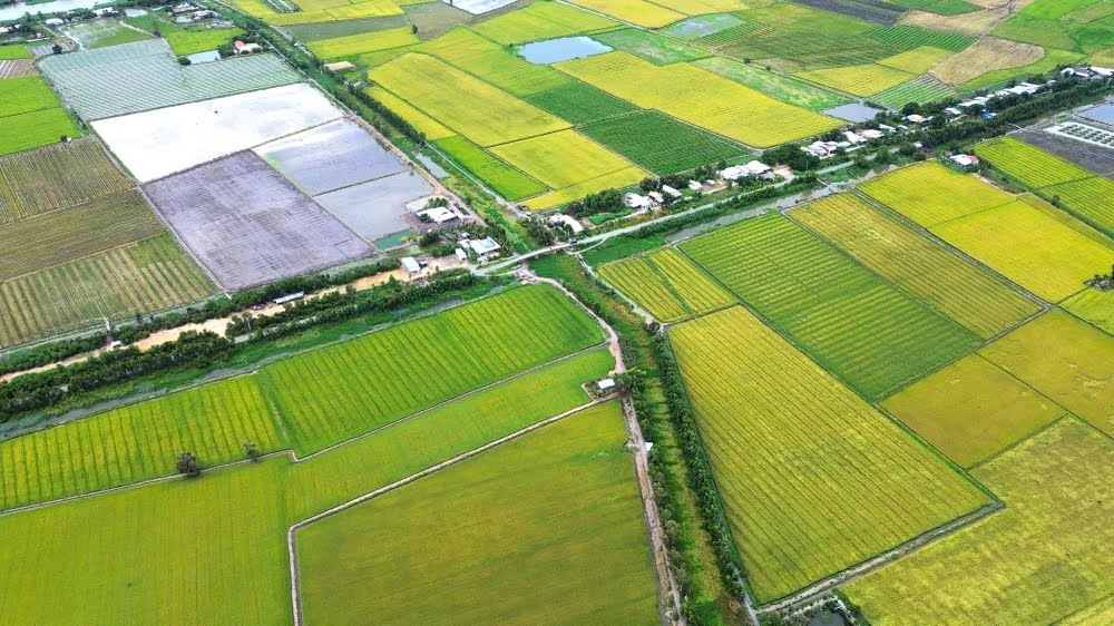 Trung tâm Phát triển quỹ đất tỉnh Tây Ninh được UBND tỉnh giao quản lý và tổ chức đấu giá 24 vị trí đất tại các xã, phường với tổng diện tích hơn 605ha Trung tâm Phát triển quỹ đất tỉnh Tây Ninh được UBND tỉnh giao quản lý và tổ chức đấu giá 24 vị trí đất tại các xã, phường với tổng diện tích hơn 605ha