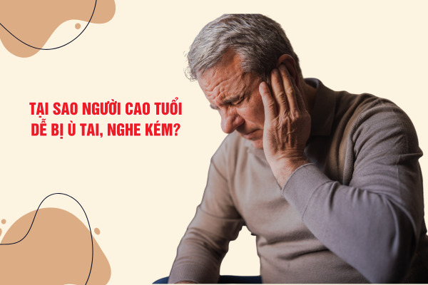 Tại sao người cao tuổi dễ bị ù tai, nghe kém?