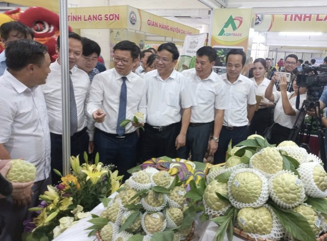 Lạng Sơn nổi tiếng với vùng trồng na Chi Lăng, Hữu Lũng với hàng chục ngàn ha trải dài từ núi đá xuống thung lũng.