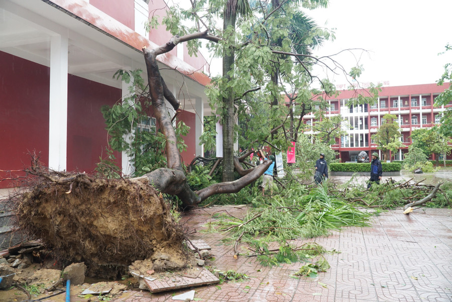 Nhiều trường học Nghệ An bị thiệt hại nặng nề sau bão Kajiki. Ảnh: Hồ Lài