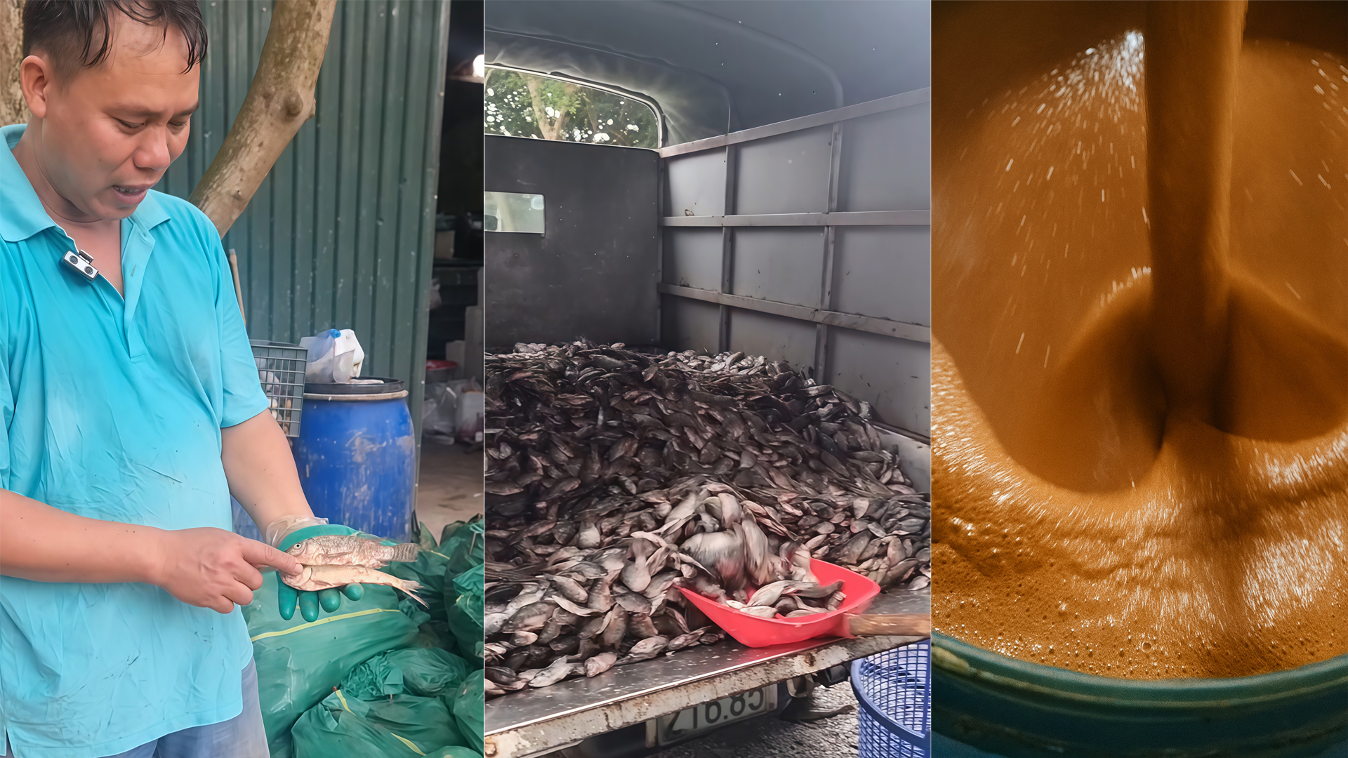 Từ nguyên liệu chính là cá nước ngọt (bao gồm cá tạp, các loại cá nhỏ hoặc cá mới bị chết được bán rất rẻ và phụ phẩm cá như xương, nội tạng…) anh Thắng đã dày công nghiên cứu tạo nên chế phẩm đạm cá hữu cơ thân thiện môi trường, có giá trị cao.