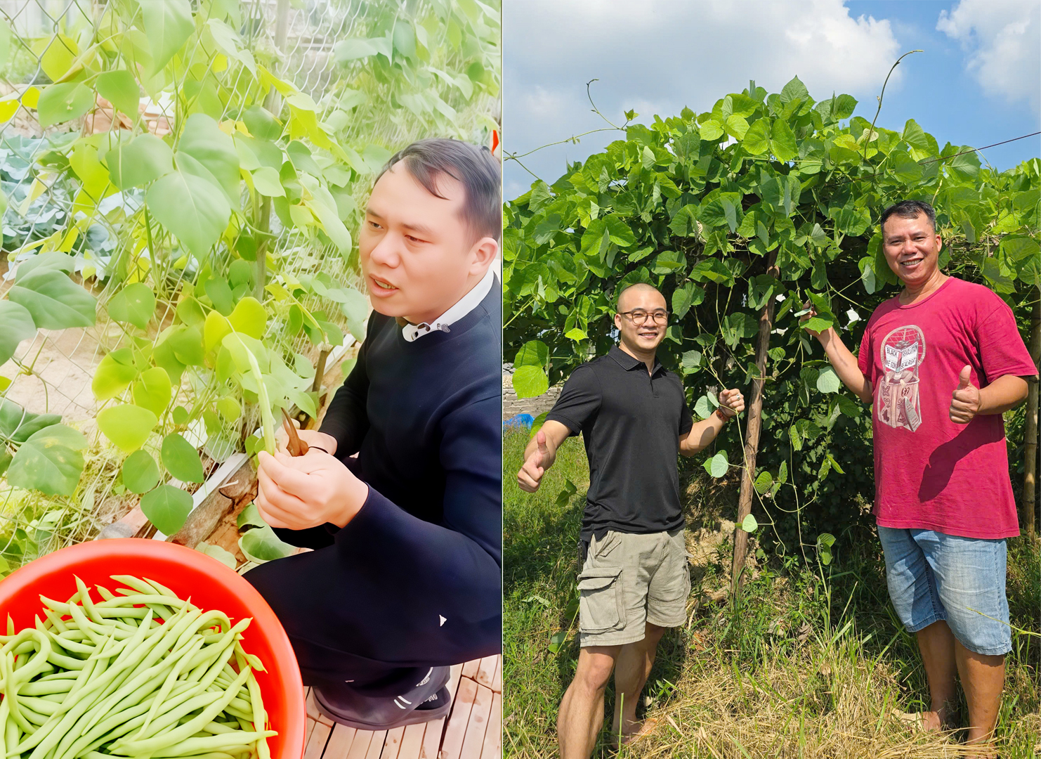 Anh Thắng bên những vườn rau củ xanh tốt, tươi ngon được chăm bón từ chính chế phẩm đạm cá hữu cơ “nhà trồng được”.