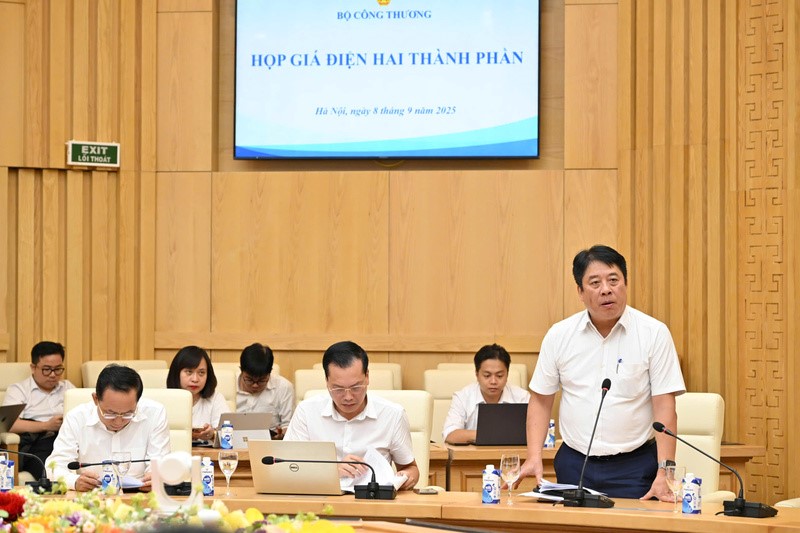 Ông Nguyễn Anh Tuấn, Tổng Giám đốc EVN phát biểu