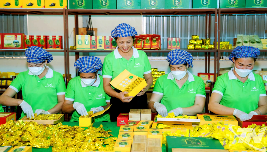 Kiện toàn Ban Chỉ đạo quốc gia về kinh tế tập thể