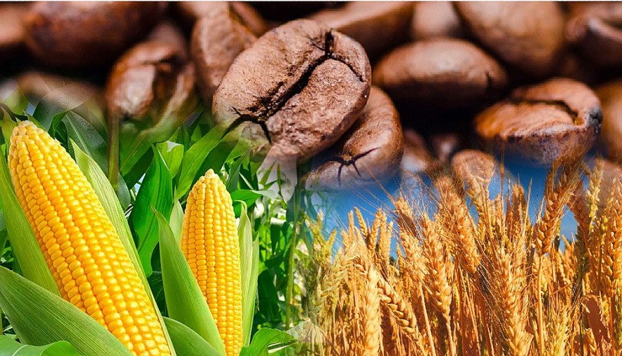 Chỉ số MXV-Index quay đầu phục hồi sau ba phiên suy yếu liên tiếp