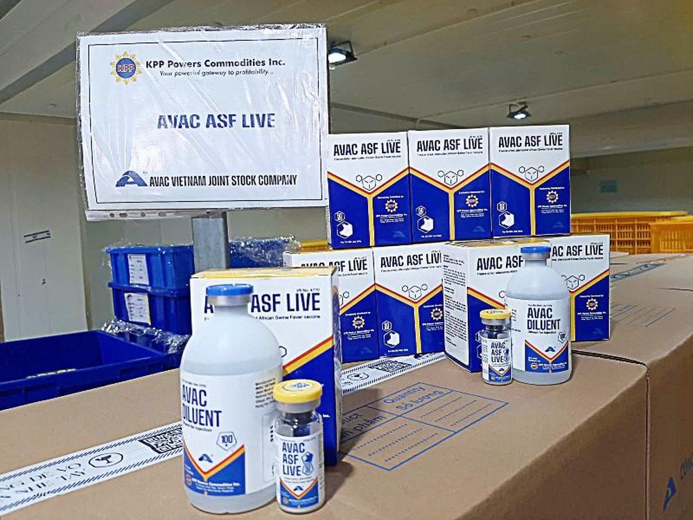 Vaccine dịch tả lợn châu Phi do Công ty cổ phần AVAC Việt Nam sản xuất.
