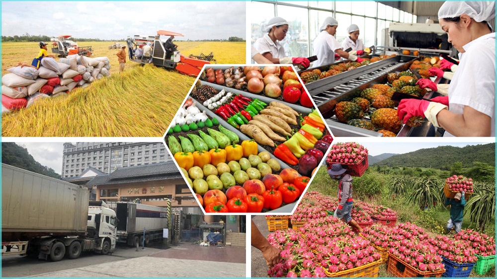 Đa dạng hóa thị trường xuất khẩu là hướng đi tất yếu Đa dạng hóa thị trường xuất khẩu là hướng đi tất yếu