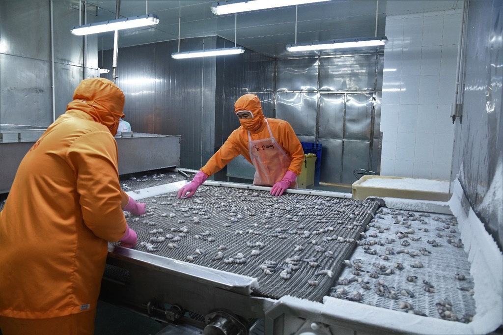 Cà Mau tăng cường truy xuất nguồn gốc, bảo đảm chất lượng nông, lâm, thủy sản xuất khẩu