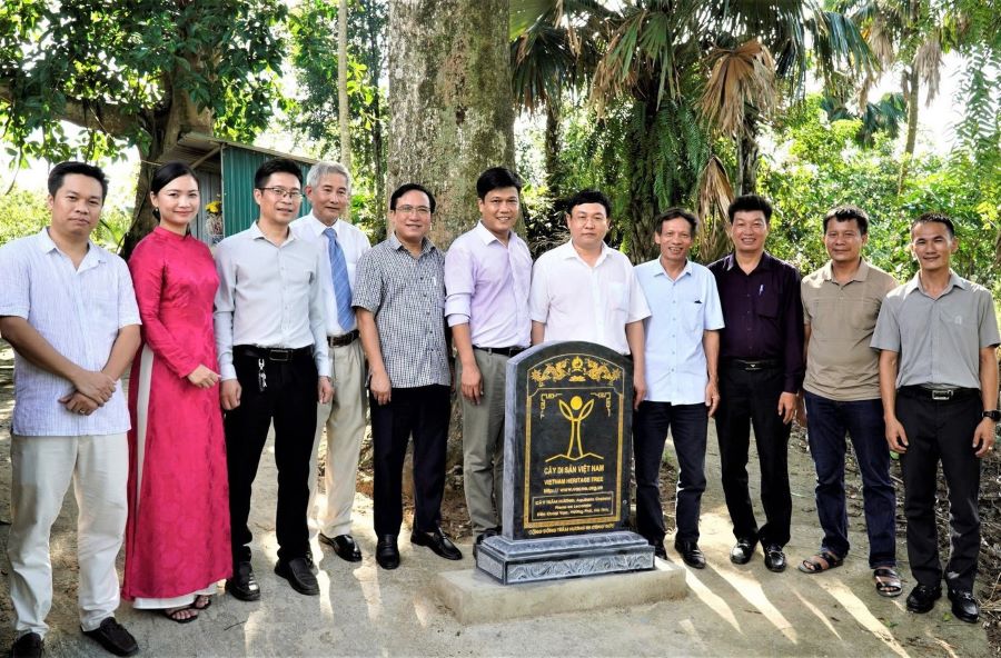 Lễ công bố quyết định công nhận hai cây trầm ở đền Khoai Vạc là Cây di sản Việt Nam. Lễ công bố quyết định công nhận hai cây trầm ở đền Khoai Vạc là Cây di sản Việt Nam.