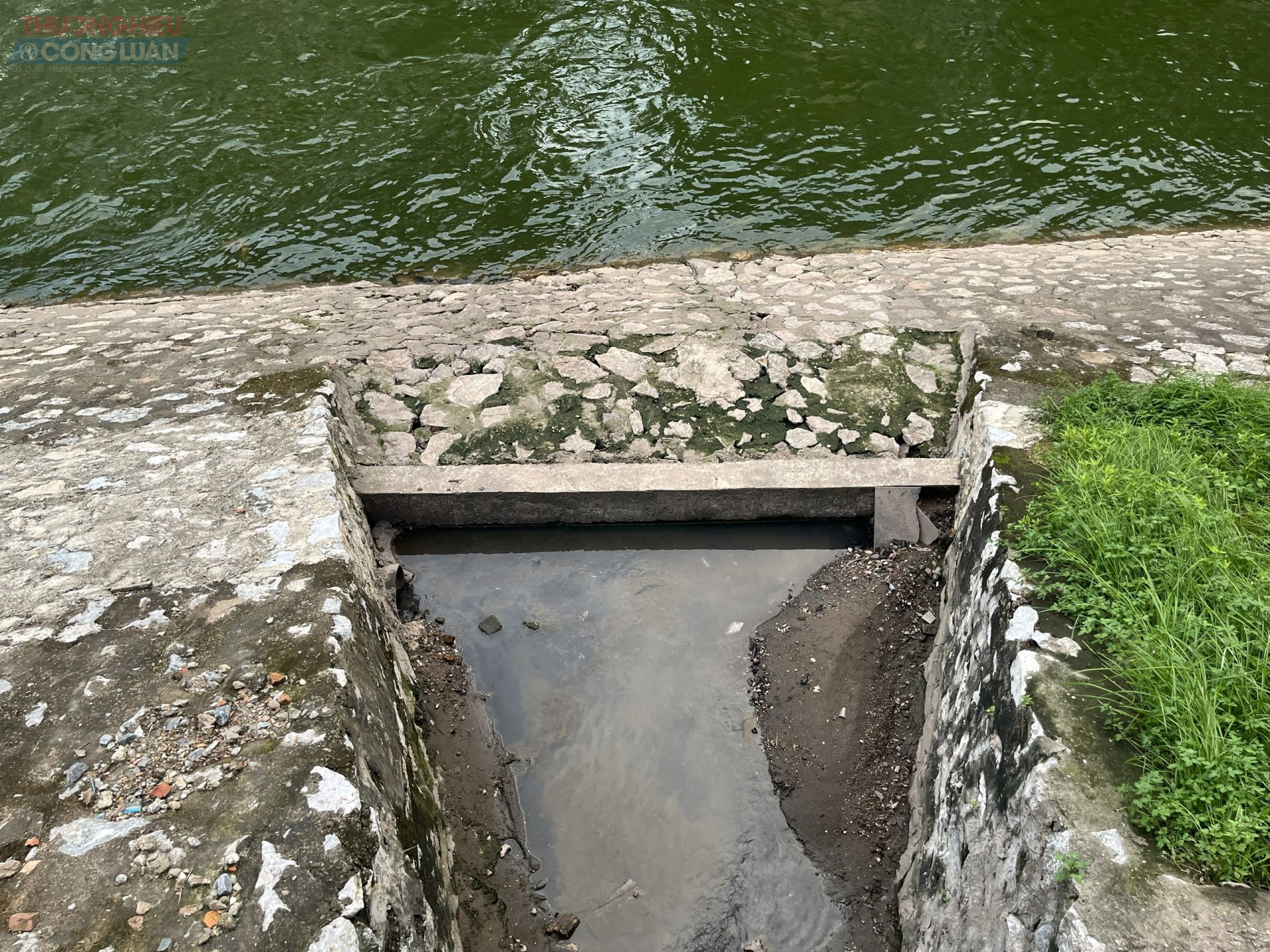 Một số cổng xả thải dân sinh dọc sông Tô Lịch đã được tiến hành thu gom.