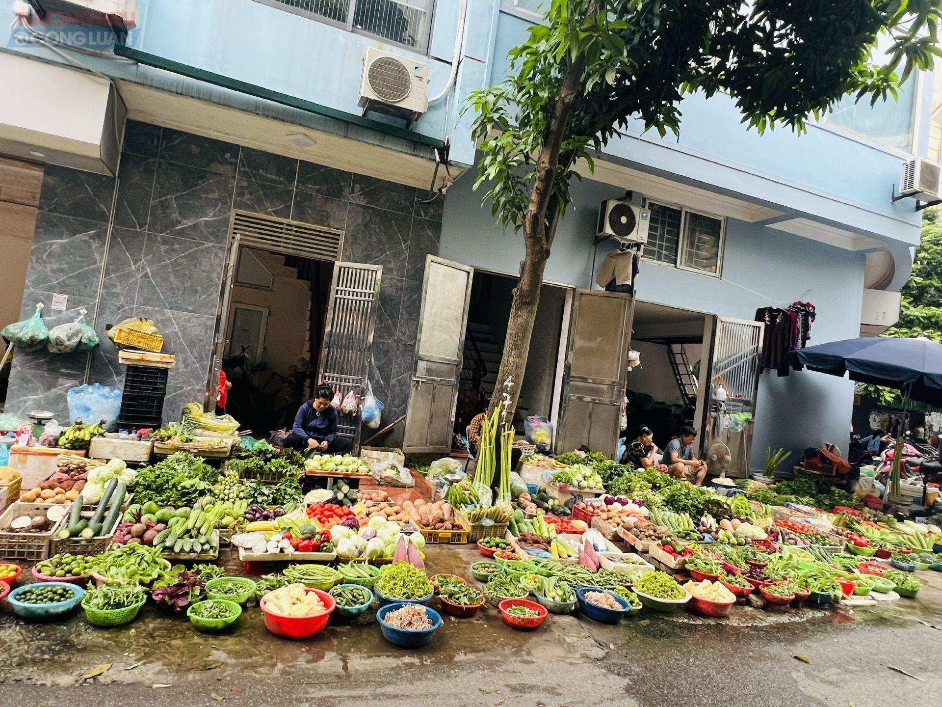 Người tiêu dùng 