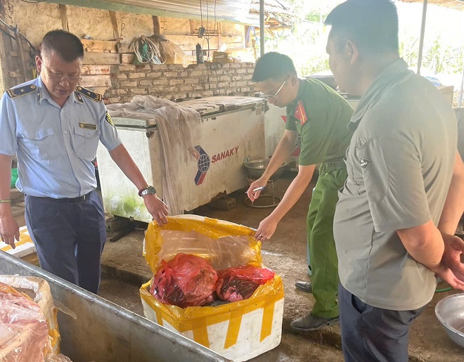 Hơn 1,5 tạ nội tạng bò bốc mùi bị phát hiện tại Sơn La