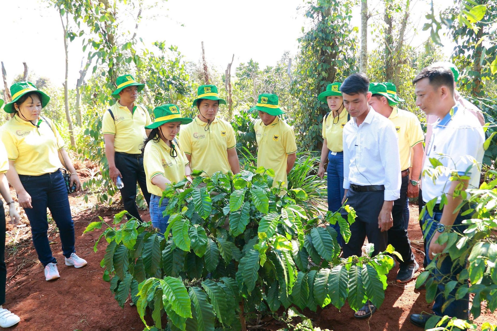 Đông đảo bà con nông dân hưởng ứng và tham gia Chương trình 