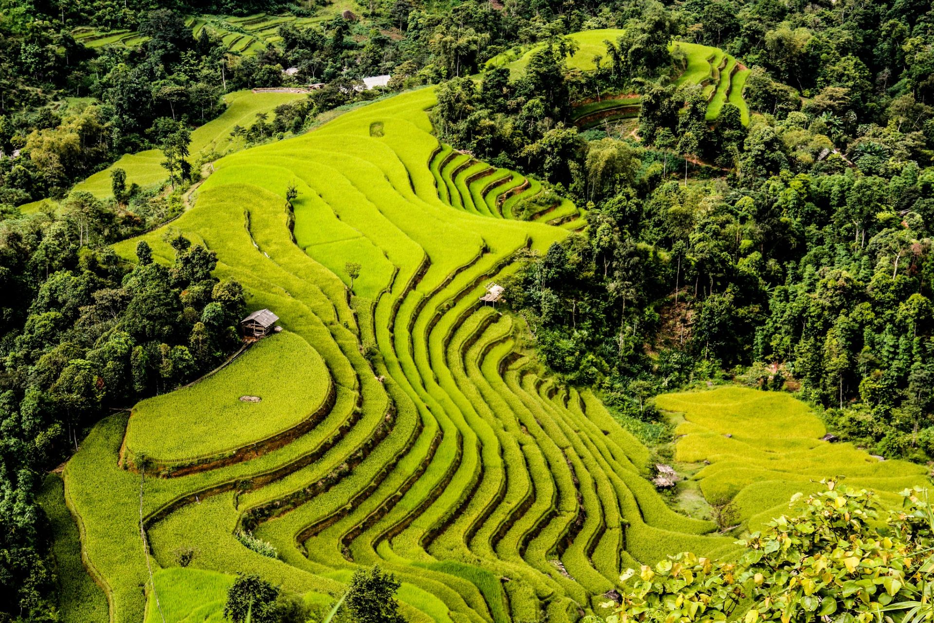 Tuần Văn hóa Du lịch xã Thông Nguyên 2025: “Mùa vàng rực rỡ, hẹn hò với non cao”