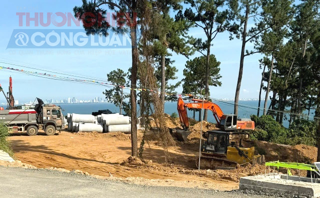 Khi thi công chủ đầu tư rất quan tâm về những cây xanh lâu năm cần để lại để làm đẹp cảnh quan và môi trường. Ảnh: Lê Dũng