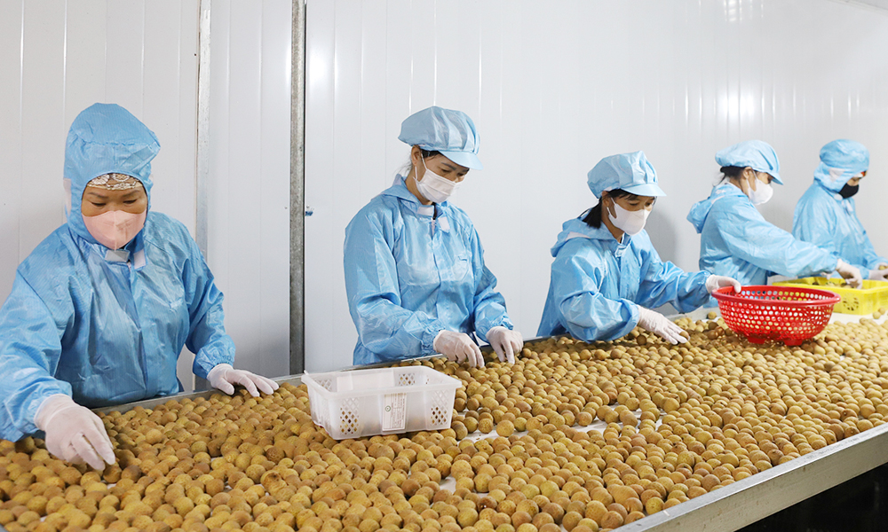 Bắc Ninh: Tăng cường kiểm tra an toàn thực phẩm, truy xuất nguồn gốc sản phẩm nông, lâm, thủy sản xuất khẩu