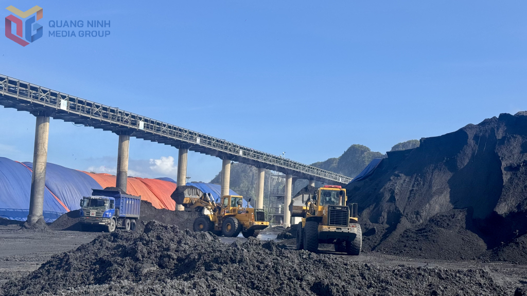 Tập đoàn Công nghiệp Than - Khoáng sản Việt Nam nỗ lực về đích kế hoạch sản xuất quý III