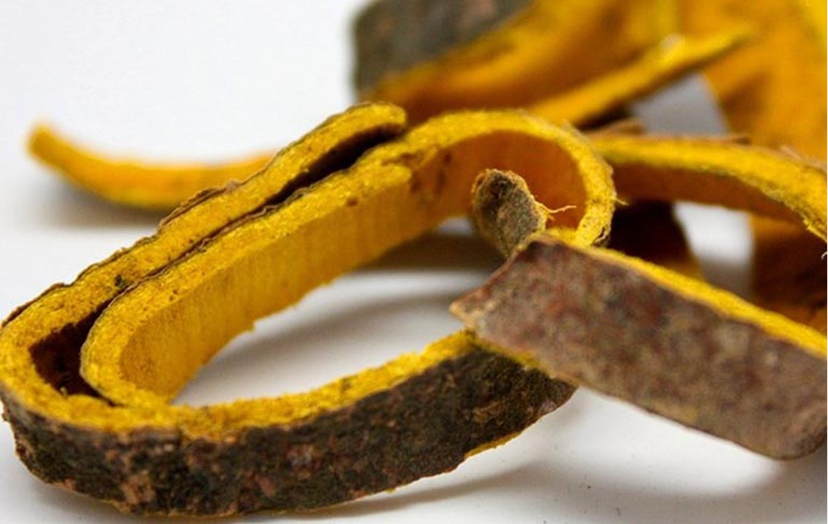 Hoàng bá chứa berberin – hoạt chất tự nhiên giúp kháng viêm và thanh lọc cơ thể