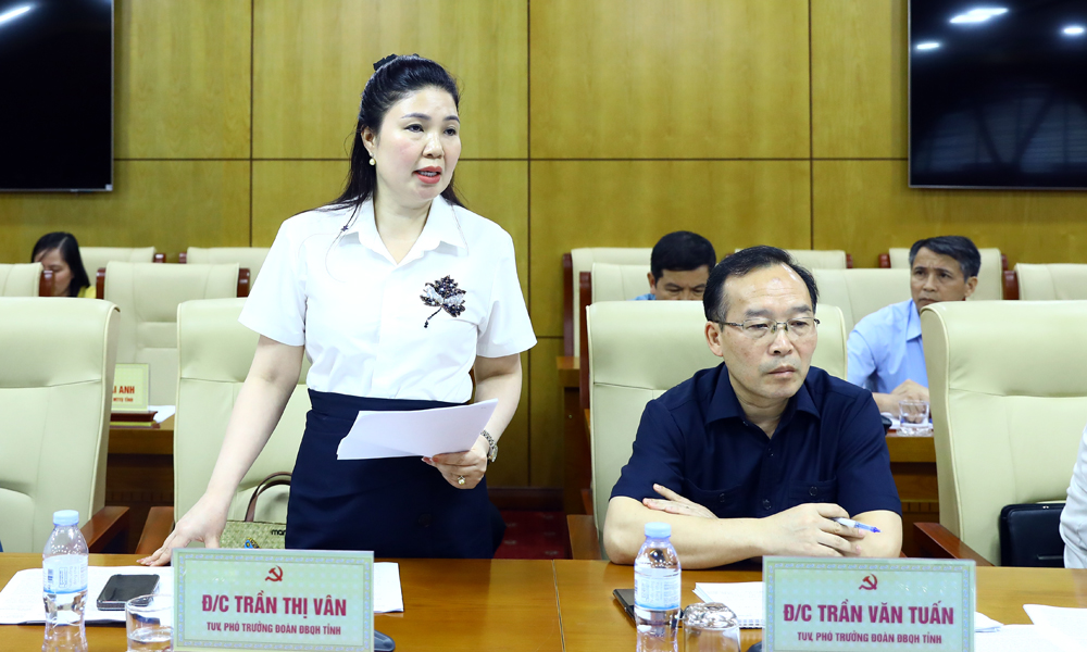 Đồng ch&iacute; Trần Thị V&acirc;n, Ph&oacute; trưởng Đo&agrave;n Đại biểu Quốc hội tỉnh b&aacute;o c&aacute;o tại hội nghị.