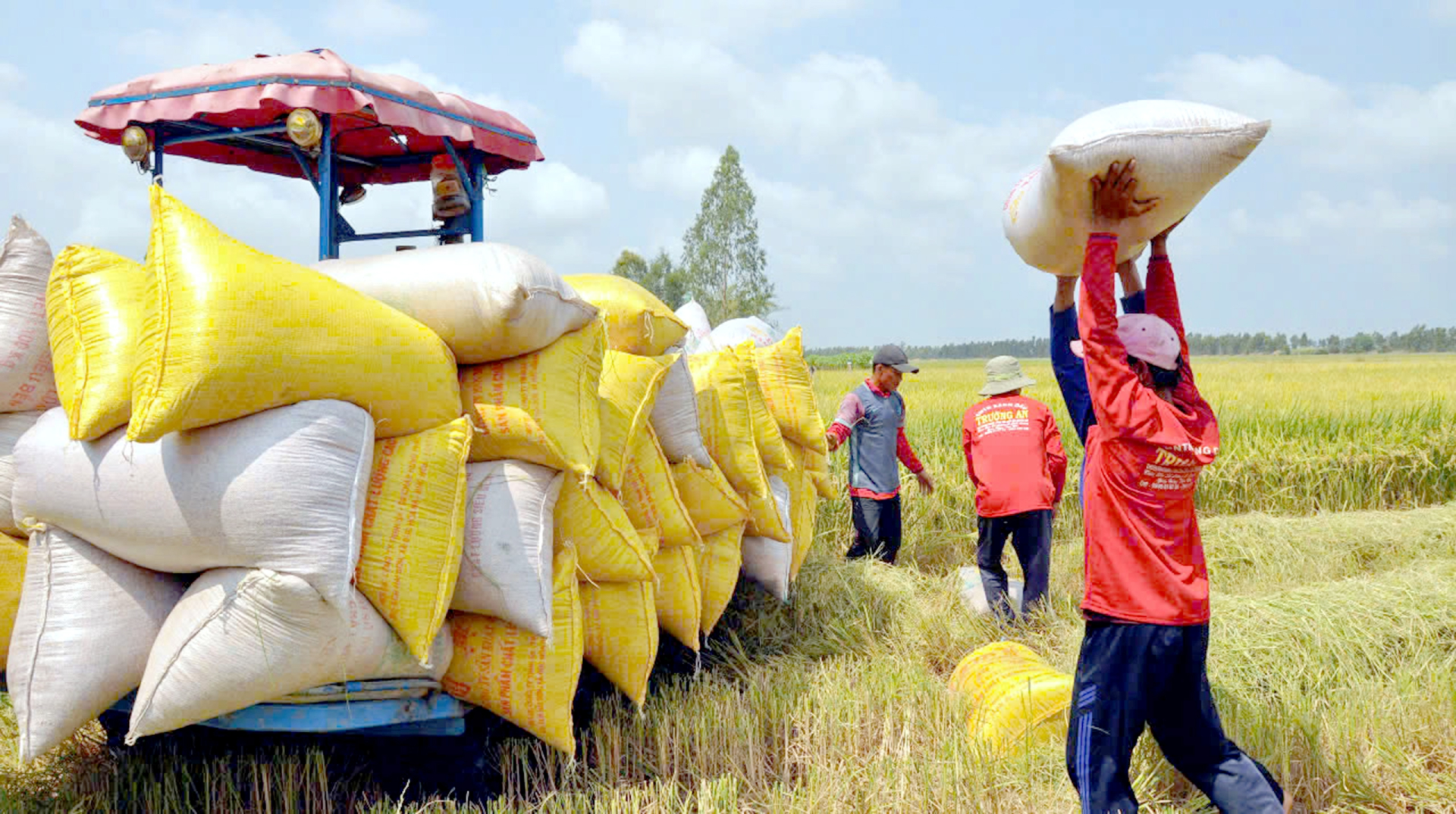Ảnh minh họa. (Nguồn: Internet)