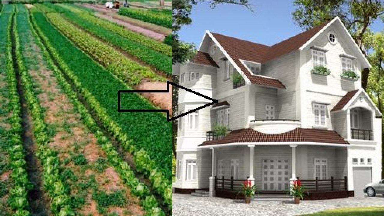 Nhiều đề xuất liên quan đến điều chỉnh mức thu tiền chuyển đổi đất nông nghiệp sang thổ cư