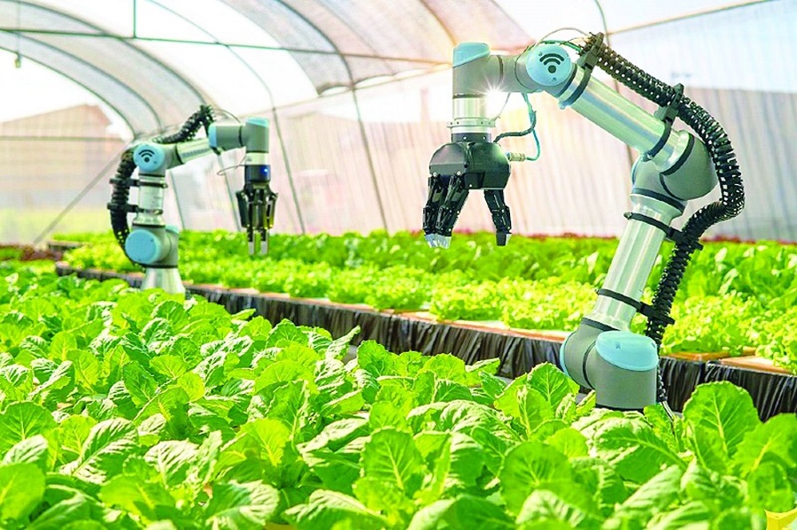 Trí tuệ nhân tạo - “Chìa khóa” nâng cao năng suất nông nghiệp Việt Nam