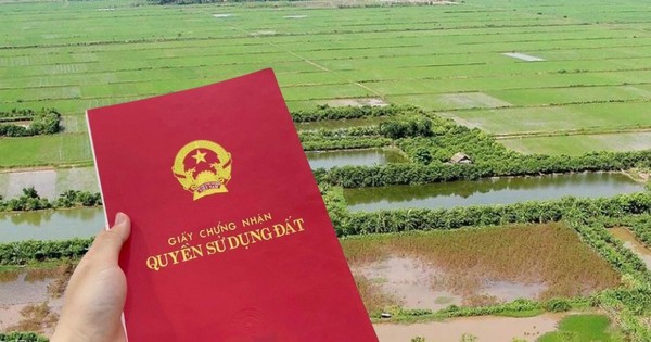 Ảnh minh họa, nguồn internet.