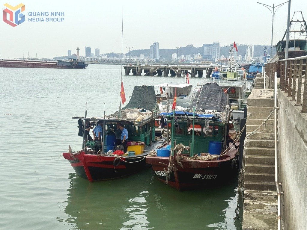 Quảng Ninh: Kiểm soát chặt hoạt động khai thác thủy sản