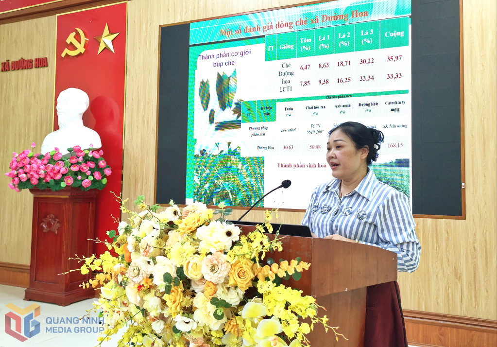 TS Nguyễn Thị Hồng Lam, Phó Giám đốc Trung tâm Nghiên cứu và phát triển chè, trao đổi về một số kết quả nghiên cứu giống, kỹ thuật canh tác chè an toàn. TS Nguyễn Thị Hồng Lam, Phó Giám đốc Trung tâm Nghiên cứu và phát triển chè, trao đổi về một số kết quả nghiên cứu giống, kỹ thuật canh tác chè an toàn.