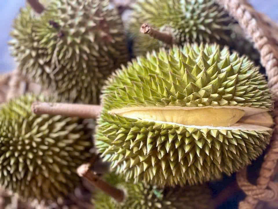 Trung Quốc tiếp tục siết chặt kiểm tra an toàn thực phẩm, đặc biệt đối với mặt hàng sầu riêng