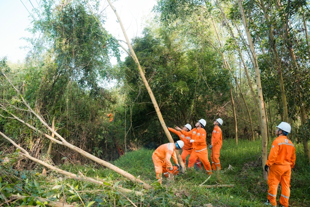 Công nhân Công ty Điện lực Nghệ An thực hiện chặt tỉa cây nằm trong hành lang nhằm đảm bảo an toàn lưới điện. Công nhân Công ty Điện lực Nghệ An thực hiện chặt tỉa cây nằm trong hành lang nhằm đảm bảo an toàn lưới điện.