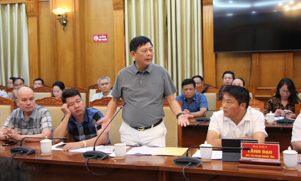 Đại diện doanh nghiệp nêu ý kiến.