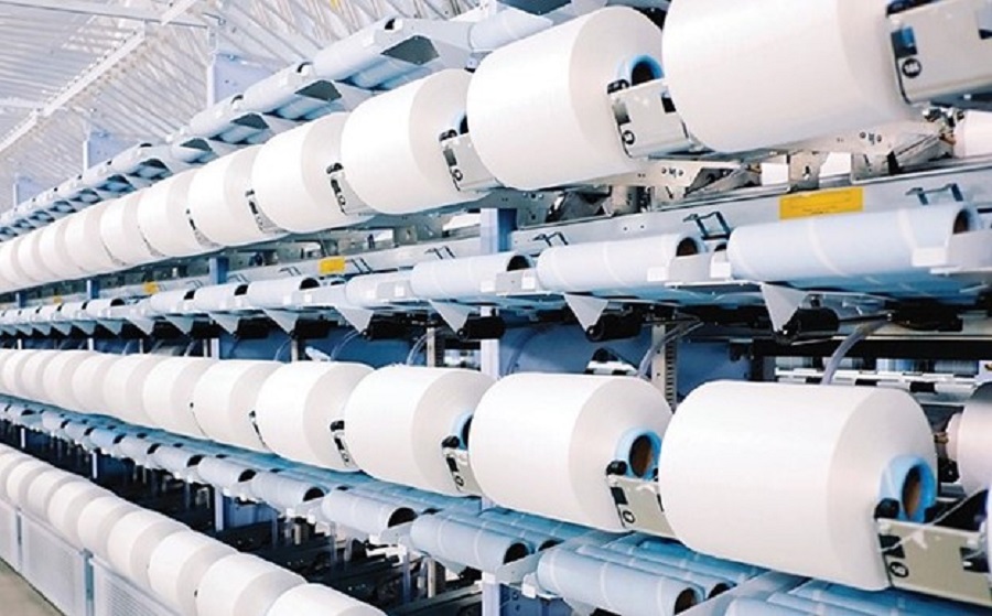 Sợi Thế Kỷ lên kế hoạch trả cổ tức 45%, củng cố nền tảng vốn cho giai đoạn mới