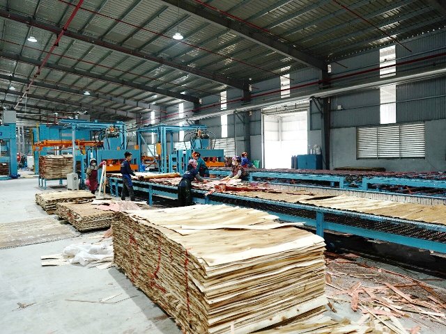 Tìm giải pháp cho ngành chế biến gỗ và lâm sản Nghệ An phát triển bền vững giai đoạn mới