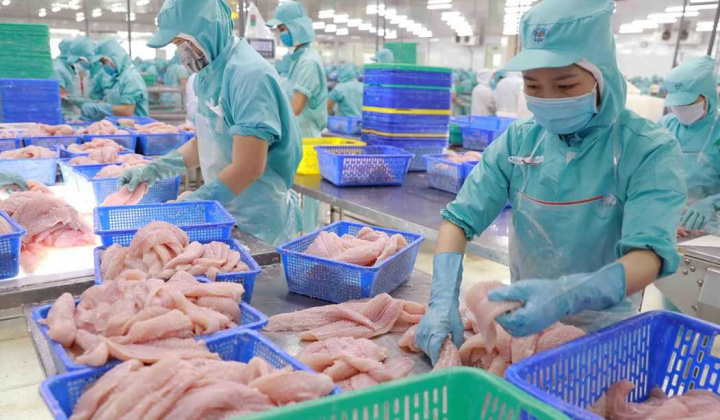 Nam Việt: Đầu năm bứt phá, cuối năm đầy thử thách