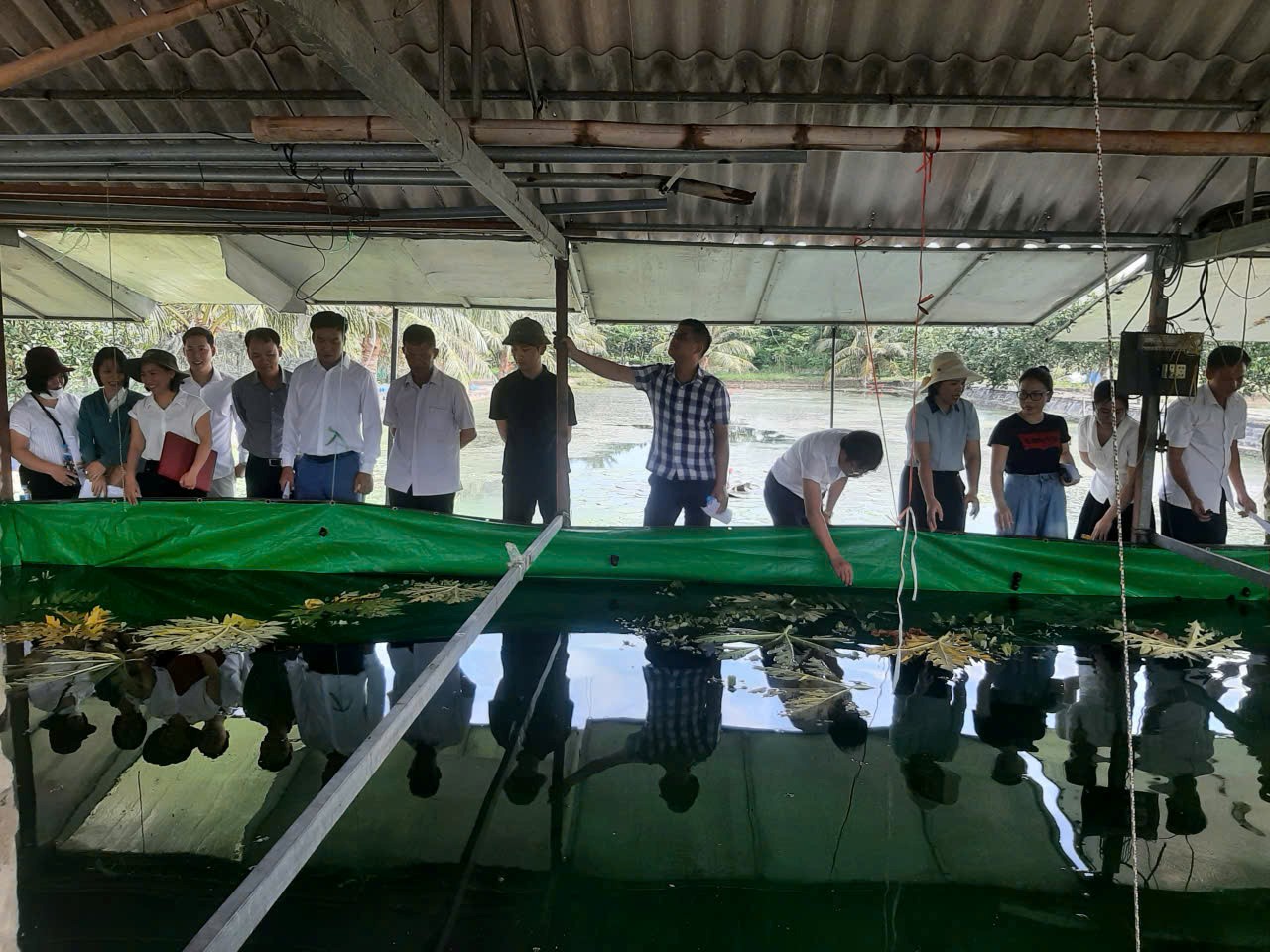 Các đại biểu thăm quan mô hình nuôi ốc nhồi thương phẩm tại xã Cẩm Giang (TP. Hải Phòng).