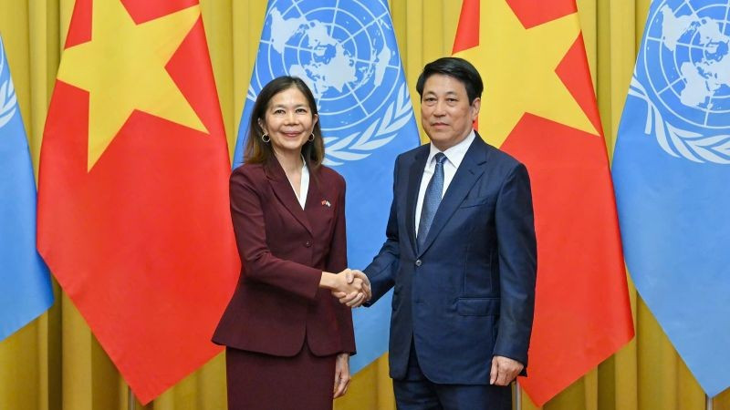 Chủ tịch nước Lương Cường và bà Pauline Tamesis, Điều phối viên thường trú Liên hợp quốc tại buổi tiếp.